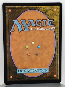 Foil - Swamp (0271) - Lorwyn Eclipsed (ECL) - Image 2
