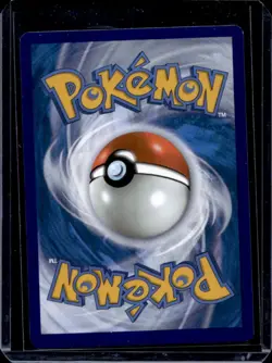 2019-2023 Pokemon SWSH Black Star Promos Greninja #SWSH144 - Image 2