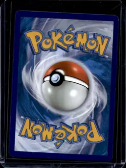 2019-2023 Pokemon SWSH Black Star Promos Greninja #SWSH144 - Image 2