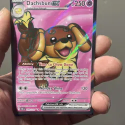 Pokemon Dachsbun EX Ultra Rare Full Art Holo 160/142 Sv07 Stellar Crown 250 HP - Image 3