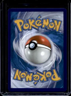 2019-2023 Pokemon SWSH Black Star Promos Greninja #SWSH144 - Image 2