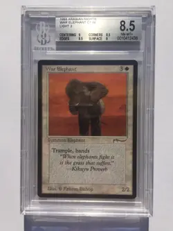 BGS 8.5 Quad Plus | War Elephant [Light] | MtG Arabian Nights | [9, 8.5, 8.5, 9] - Image 1
