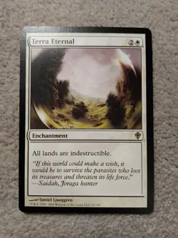 MTG Terra Eternal 22/145 - EX/LP - Worldwake, English X1 - Image 1