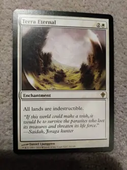 MTG Terra Eternal 22/145 - EX/LP - Worldwake, English X1 - Image 2