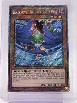 BLACKWING-GALE THE WHIRLWIND 2024 YU-GI-OH! SECRET RARE 1ST EDITION Q5842 - Image 1