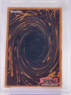 D.D. WARRIOR LADY 2024 YU-GI-OH! SECRET RARE 1ST EDITION Q5842 - Image 2