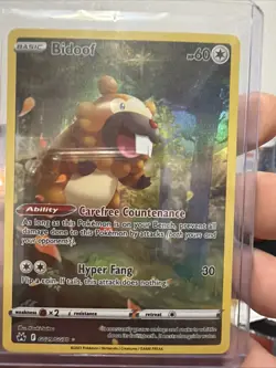 Pokemon TCG Bidoof Crown Zenith: Galarian Gallery Holo Rare Card GG29/GG70 - Image 1