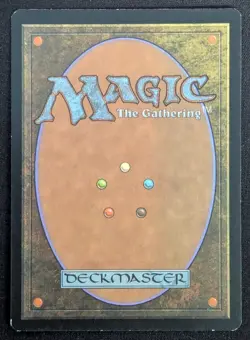 MTG Canopy Surge- Signed -Invasion Magic the Gathering Card # 184 - Image 2