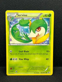 Pokemon Tcg Torchic RC5/RC25 Legendary Treasures Radiant Collection - Image 1
