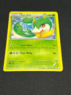 Pokemon Tcg Torchic RC5/RC25 Legendary Treasures Radiant Collection - Image 3