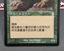 MTG CHINESE (T) Terravore- STAMPED -Odyssey Magic the Gathering Card # 278 - Image 4