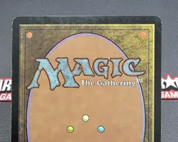 MTG CHINESE (T) Terravore- STAMPED -Odyssey Magic the Gathering Card # 278 - Image 5