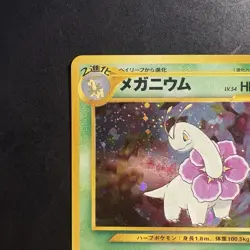 Pokemon Vintage Holo Meganium #154 Neo Premium File 1 (Japanese) Old Back Swirl - Image 2