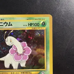 Pokemon Vintage Holo Meganium #154 Neo Premium File 1 (Japanese) Old Back Swirl - Image 3
