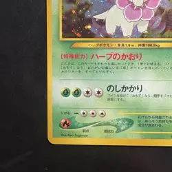 Pokemon Vintage Holo Meganium #154 Neo Premium File 1 (Japanese) Old Back Swirl - Image 5