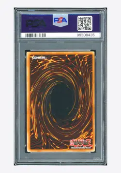 YuGiOh PSA 10 Blue Eyes White Dragon UR 2002 LDB-P001 1ED Portuguese - Image 2