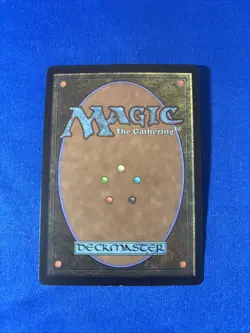 NATURAL AFFINITY LP+ Mercadian Masques Original mtg Magic fast shipping - Image 2