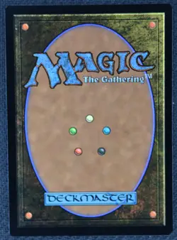 Tidus's Brotherhood Sword #1867 | Near Mint | Secret Lair Drop Magic MTG - Image 2