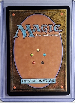 MTG Magic The Gathering BLB Bloomburrow Special Guests Foil Secluded Courtyard - Image 2
