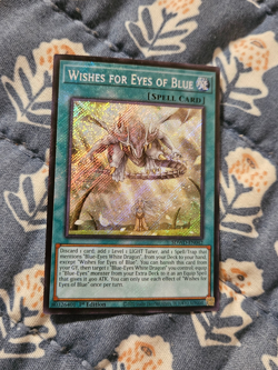 Wishes for Eyes of Blue - Secret Rare - SDWD-EN042 Yugioh - Image 3
