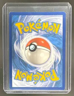 Skwovet 2024 Pokemon Scarlet Violet Paldean Fates #205 - Image 2
