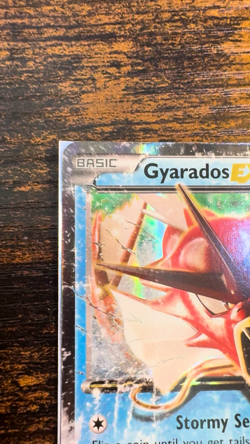 Pokemon TCG Gyarados EX XY106 & Pikachu EX XY174 Black Star Promo Holo Card Set - Image 2