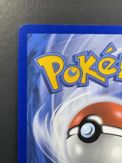 Pokemon: Chatot Illustration Rare IR Full Art Holo 181/162 Temporal Forces - Image 4