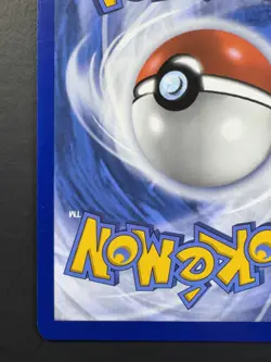 Pokemon: Chatot Illustration Rare IR Full Art Holo 181/162 Temporal Forces - Image 5