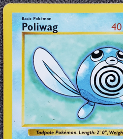 Shadowless Poliwag - Base Set - #59/102 - Vintage Pokemon Card 1999 WOTC - Image 2