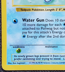 Shadowless Poliwag - Base Set - #59/102 - Vintage Pokemon Card 1999 WOTC - Image 5