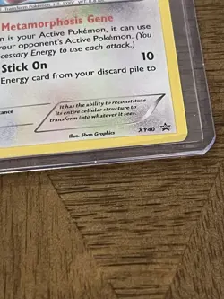 Pokemon Ditto Promo Holo XY40 XY Basic English 70 HP Pokemon TCG Card Stock - Image 4