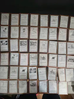 Magic The Gathering Mystery Booster Playtest Card Lot - Image 1