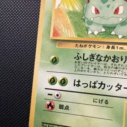 Light Play LP Ivysaur 1999 Southern Islands Japanese Pokemon see photos - Image 2