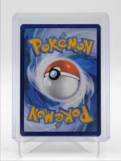 EEVEE 2025 POKEMON SCARLET & VIOLET BLACK STAR PROMO #173 Q5542 - Image 2