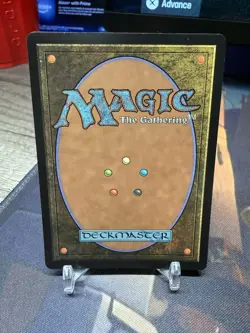 Magic the Gathering #134 The Cabbage Merchant Foil - Image 2