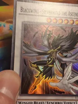 1st ed Blackwing - Silverwind the Ascendant LC5D-EN134 Super Rare Yugioh Card MP - Image 5