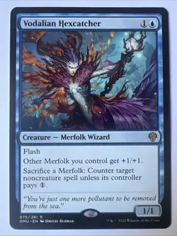 Magic the Gathering - Dominaria United - Vodalian Hexcatcher - NM - Image 1