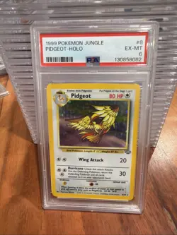 Graded PSA 6 EX -MT 1999 Pokemon Jungle - Pidgeot - HOLO #8 - Image 1