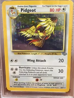 Graded PSA 6 EX -MT 1999 Pokemon Jungle - Pidgeot - HOLO #8 - Image 2