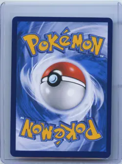 2024 Pokemon S-Chinese Card Display Gift Box CSGC 006/008 Dusknoir NM - Image 2