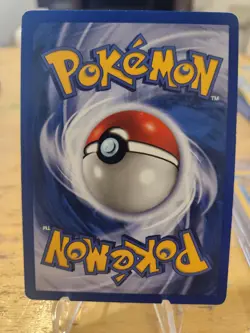 Shuckle 72/111 -1st Edition- Neo Genesis Pokemon Card NM - Image 2