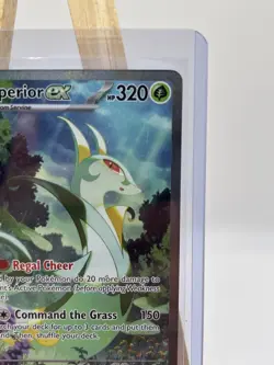 Pokemon TCG Serperior EX 164/086 Illustration Rare Holo Sv: Black Bolt Near Mint - Image 4
