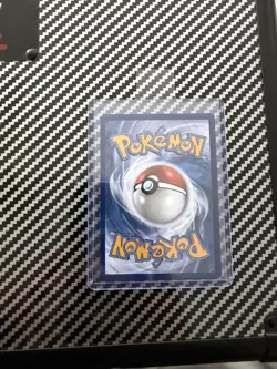 Mega Charizard X ex Black Star Promo 029 MEP - Image 2