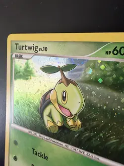 Pokemon TCG Turtwig Holo DP01 Promo Card - Image 3