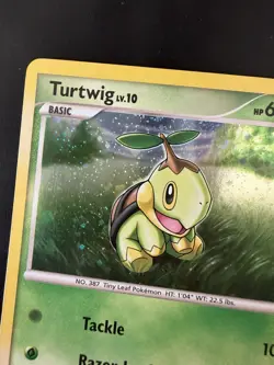Pokemon TCG Turtwig Holo DP01 Promo Card - Image 4