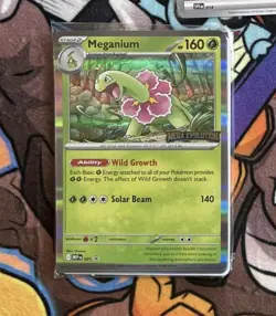 Pokemon Mega Evolutions Staff Promos Set of 4 SEALED in Pack - Image 1