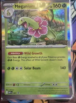 Pokemon Mega Evolutions Staff Promos Set of 4 SEALED in Pack - Image 2