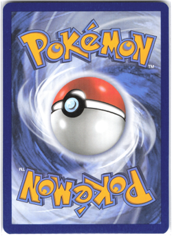 Charmander 020/217 Ascended Heroes NM Pokemon TCG - Image 2