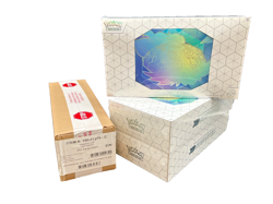 Pokemon TCG Stellar Crown Booster Box Case + (3) Terapagos EX UPC Boxes SEALED - Image 1