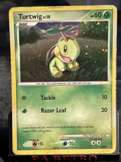 Turtwig ⭐ DP01 Promo DP Black Star Promos 2007 Pokemon - Image 1